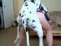 Amateur beastie gal got fucked by dog